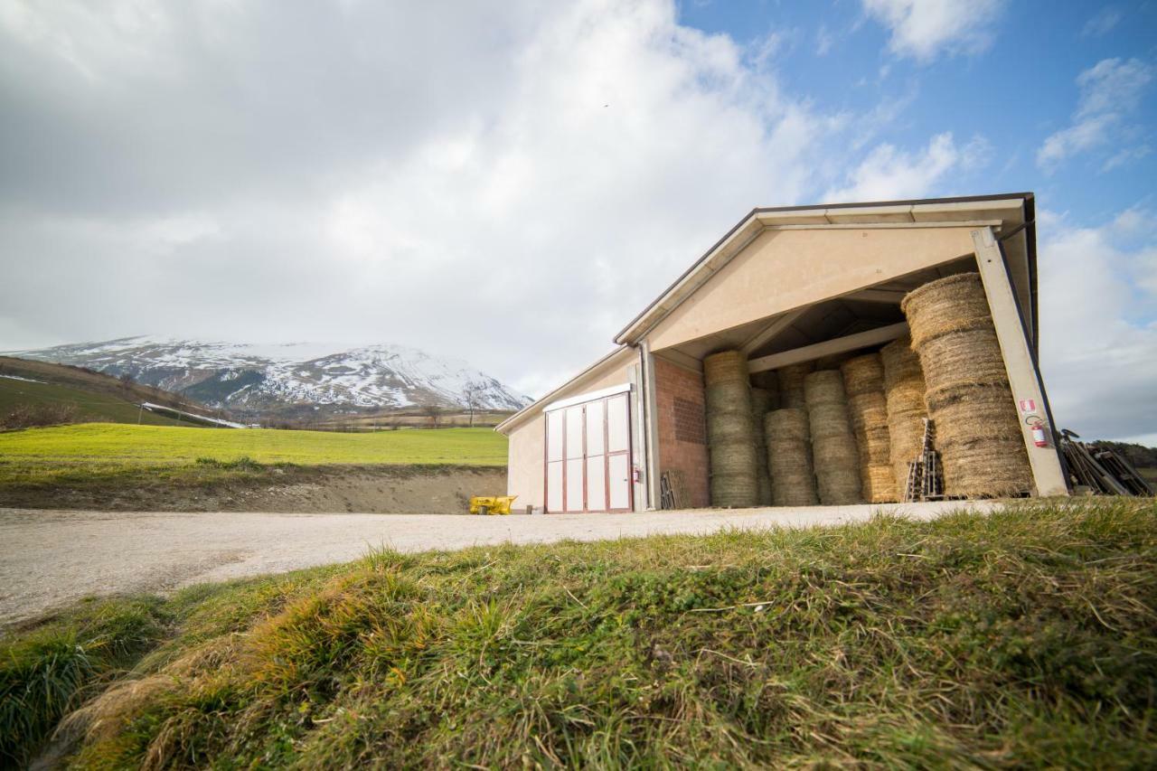 Willa La Fattoria Dei Sibillini Montemonaco Zewnętrze zdjęcie
